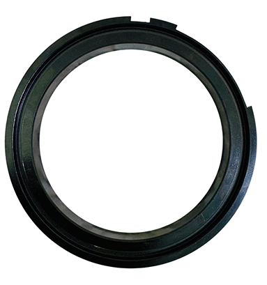 Oil Seal